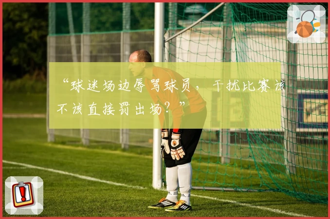“球迷场边辱骂球员,干扰比赛该不该直接罚出场?”