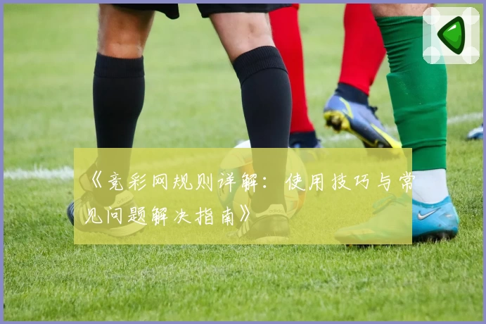 《竞彩网规则详解：使用技巧与常见问题解决指南》