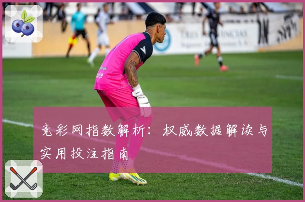 竞彩网指数解析：权威数据解读与实用投注指南