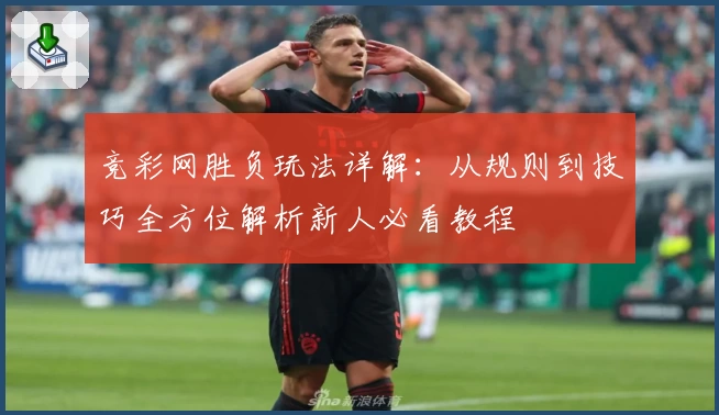 竞彩网胜负玩法详解：从规则到技巧全方位解析新人必看教程
