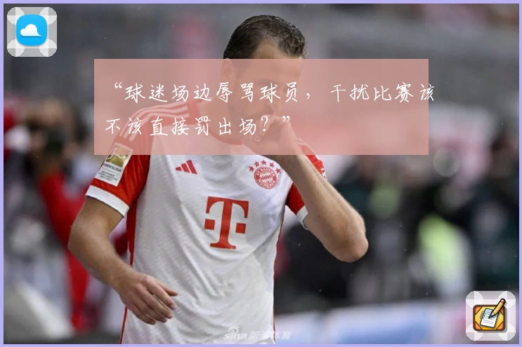 “球迷场边辱骂球员,干扰比赛该不该直接罚出场?”