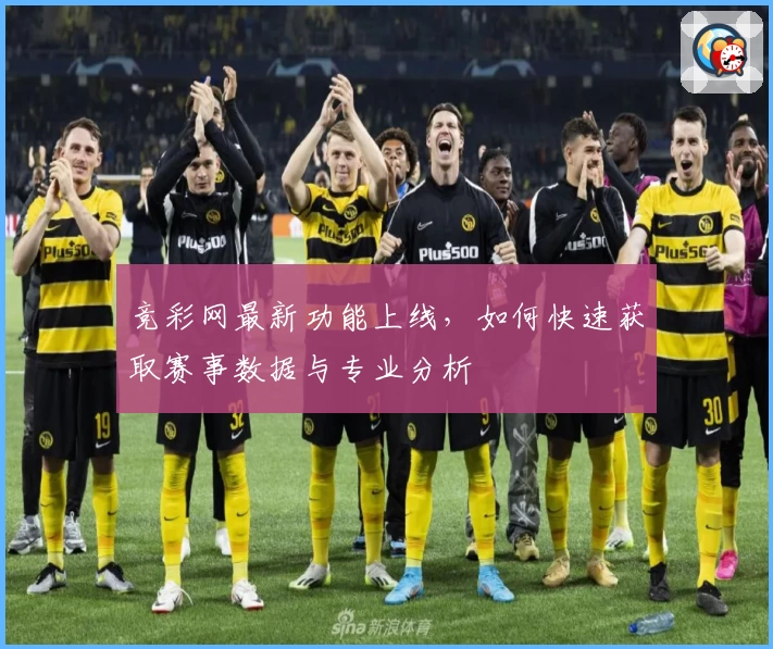 竞彩网最新功能上线,如何快速获取赛事数据与专业分析