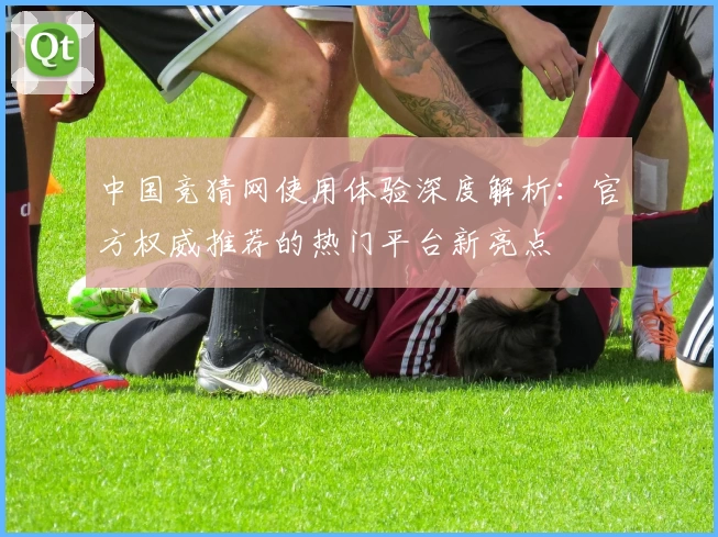 中国竞猜网使用体验深度解析：官方权威推荐的热门平台新亮点